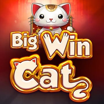 Big Win Cat